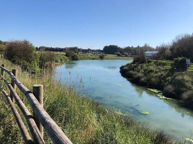 Le Cocon De Nacre - A 300M De La Plage - Wifi Courseulles-sur-Mer Eksteriør billede