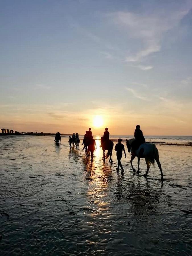 Le Cocon De Nacre - A 300M De La Plage - Wifi Courseulles-sur-Mer Eksteriør billede